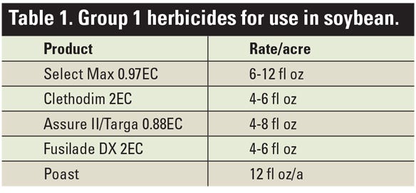 Table 1. Group 1 herbicides for use in soybean