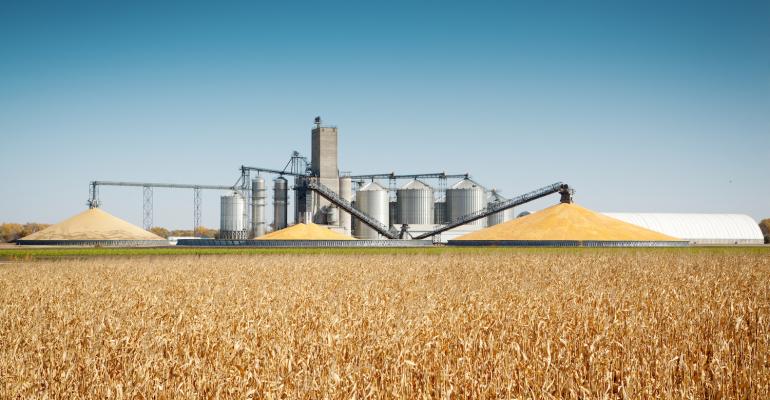 11-08-21 corn-soybean-stocks-174915069.jpg 11-08-21 corn-soybean-stocks-174915069.jpg