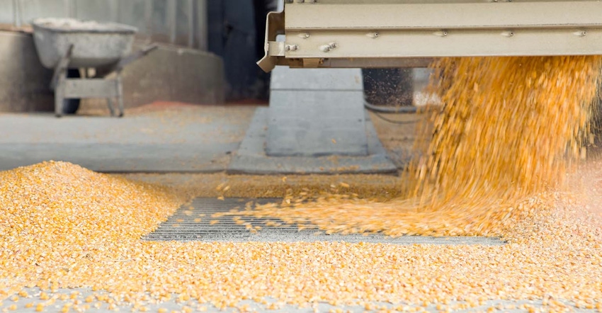 Grain truck unloading corn.