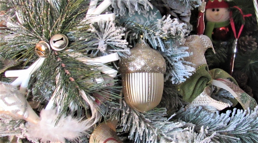 WFP-hearden-christmas-trees-1222-5-web.jpg WFP-hearden-christmas-trees-1222-5-web.jpg