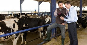 farmer and financial advisor with cows in barn