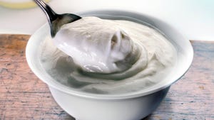 Yogurt in dish