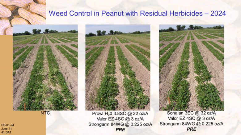 Residual herbicides: Essential tool for weed control in crop production