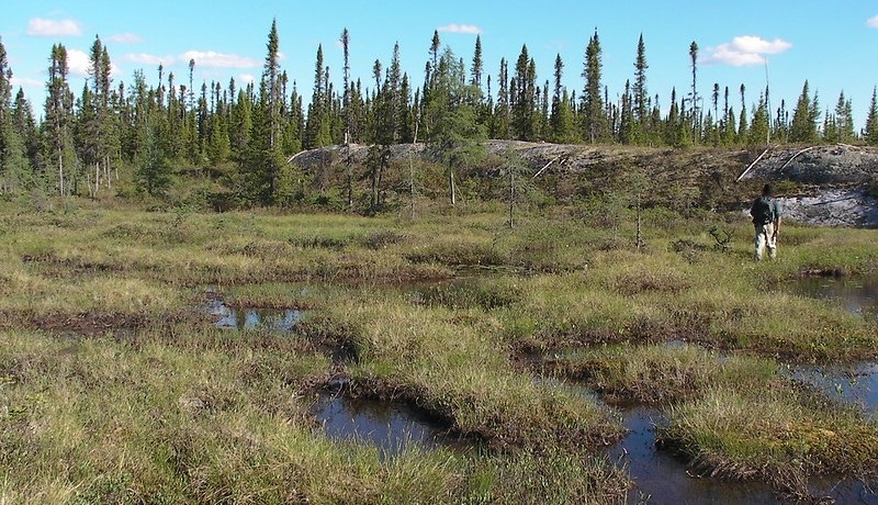 WFP-peupleloup-peat-bogs.jpg WFP-peupleloup-peat-bogs.jpg