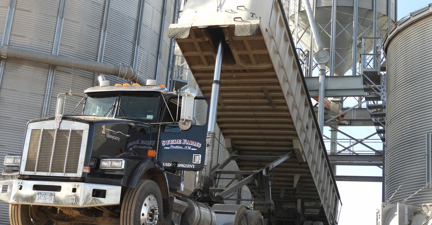 Trailer unloading grain at elevator