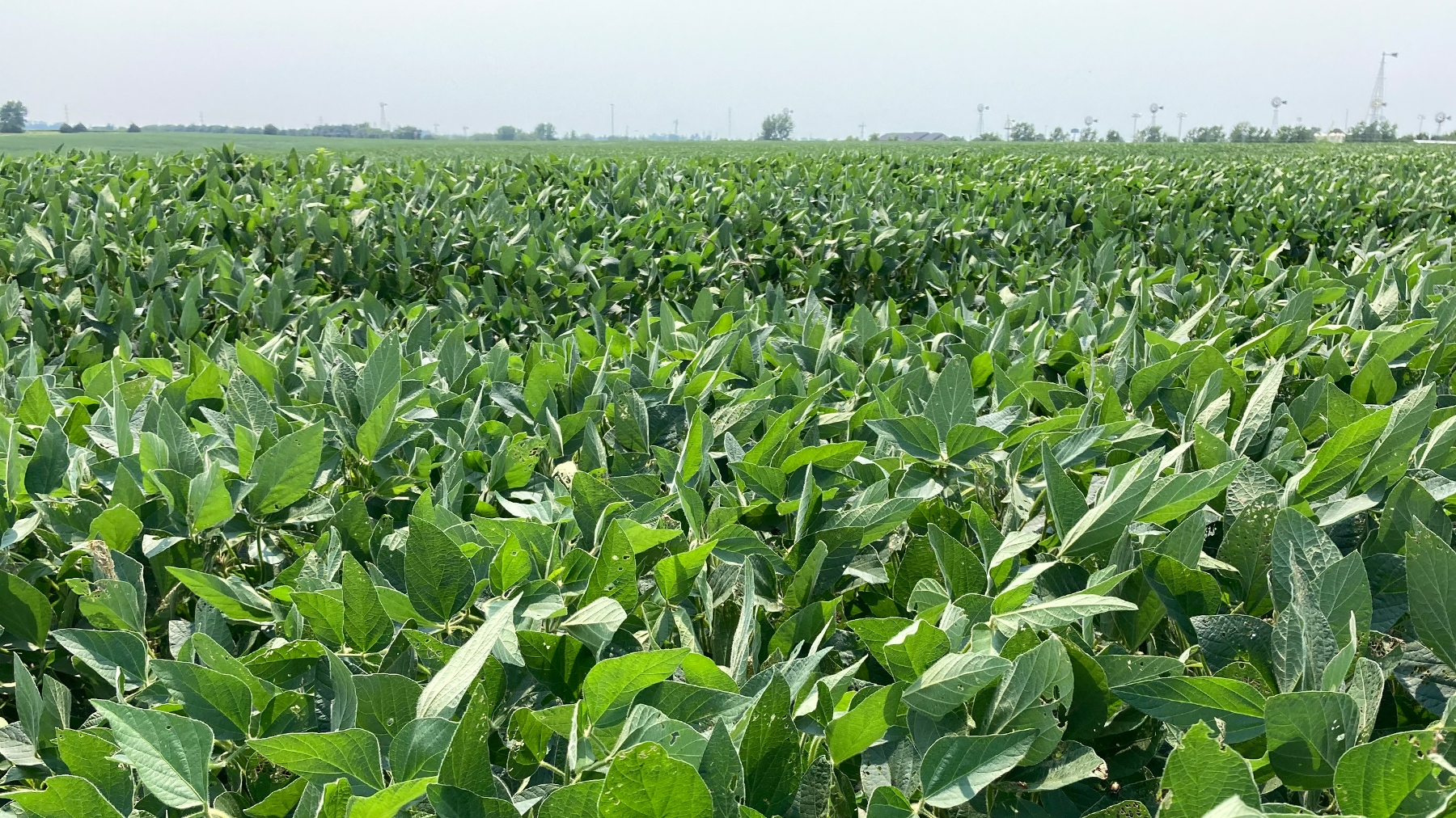 Kansas Landowner Conference aims to educate absentee owners