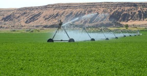 irrigation watering green field