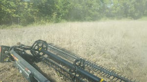 Bean combine head in soybean field