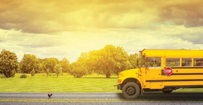 school bus school bus