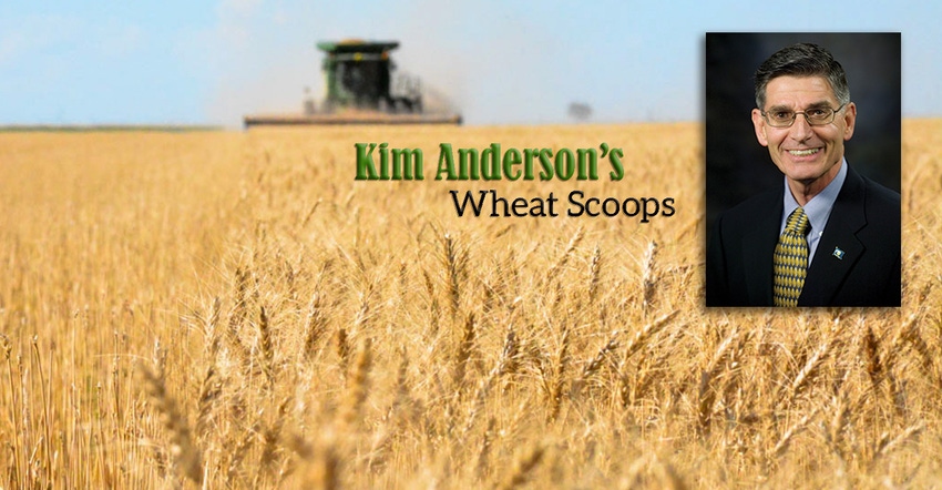 farm crops wheat