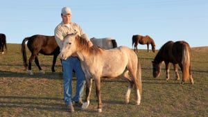 Researcher with wild horses
