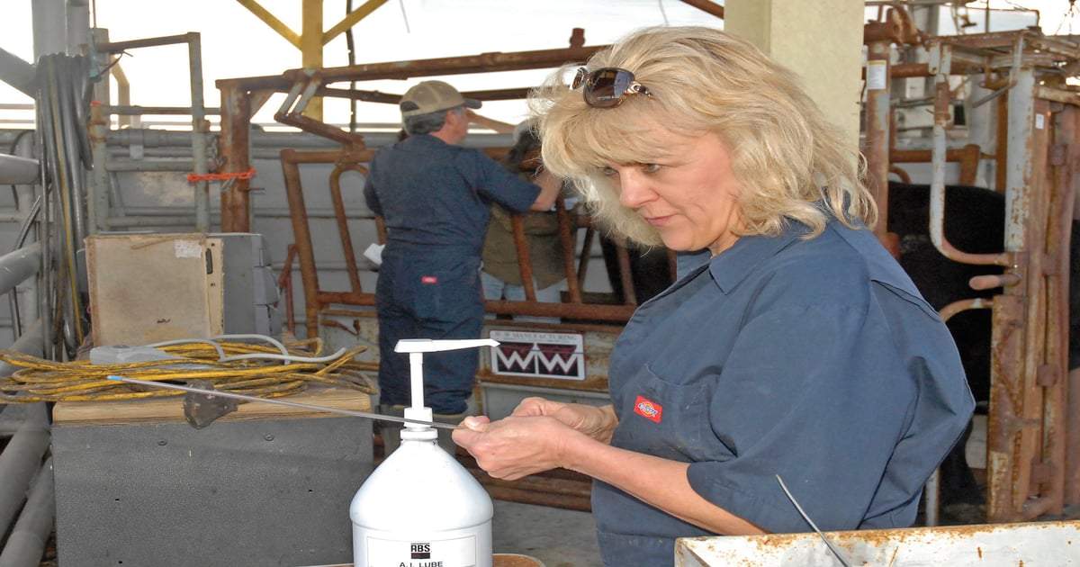 How to improve your herd's genetics