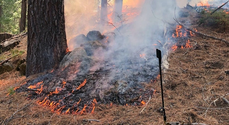 WFP-UC-wildfires-110621-1-web.png