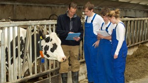 Students learn about cows from an instructor