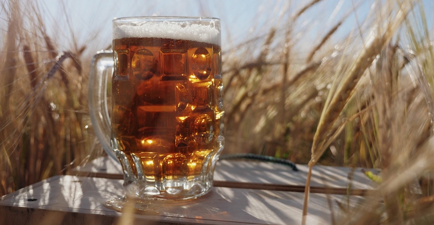glass mug of beer sitting on wood box in wheat field