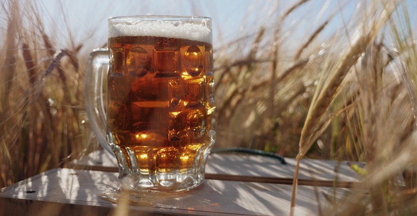 glass mug of beer sitting on wood box in wheat field glass mug of beer sitting on wood box in wheat field