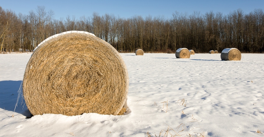 round hay bales in snowy field