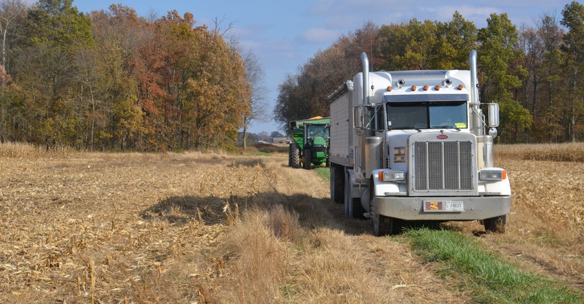 trucks driving through field