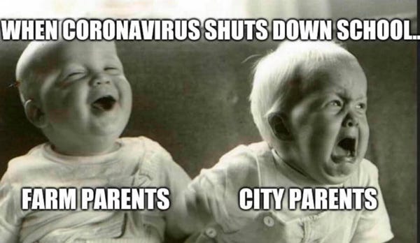 when coronavirus shuts down school babies meme