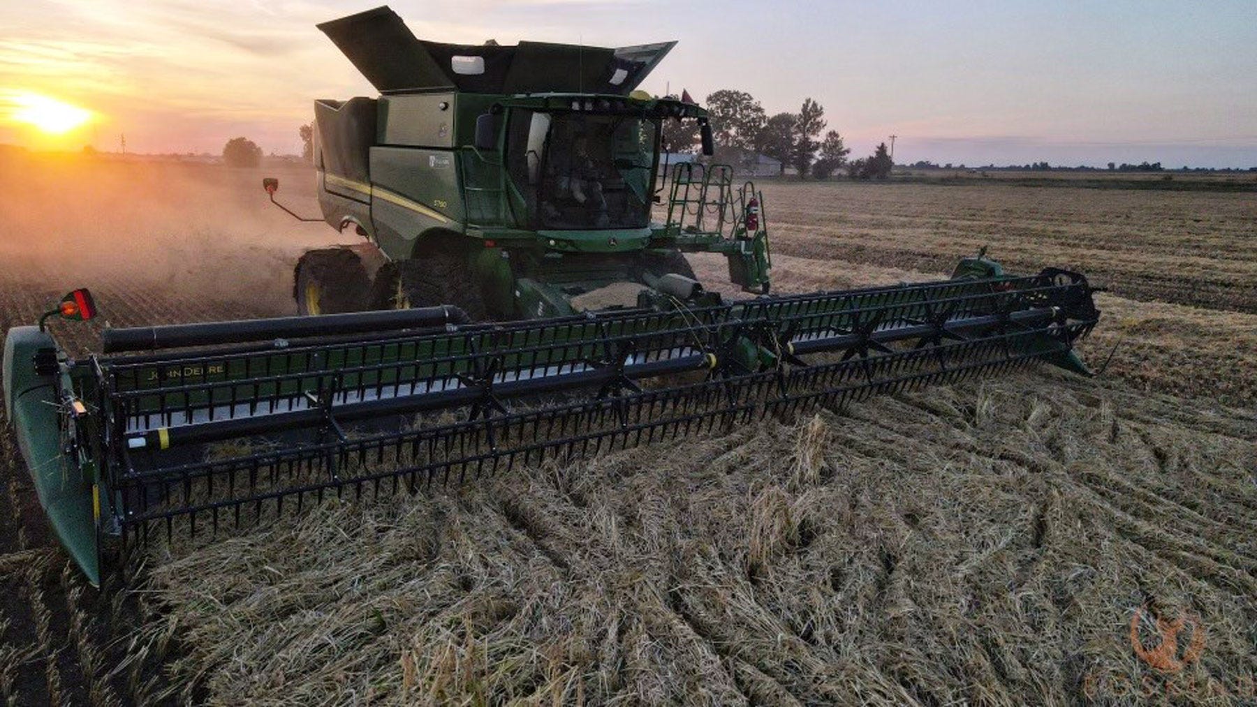 Combine cutting a field of downed rice in Arkansas with a sunset in the background.