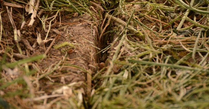 upclose view of seed trench in no-till field