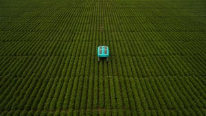 Rover in soybean field