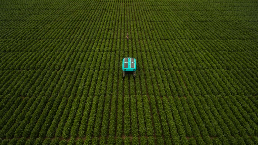 Rover in soybean field
