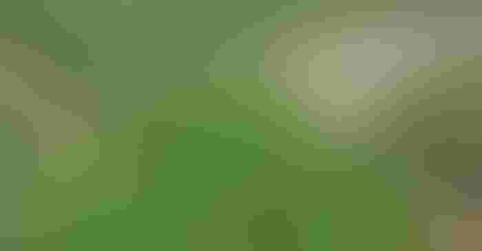 0107T-3454c-1540x800.jpg 0107T-3454c-1540x800.jpg