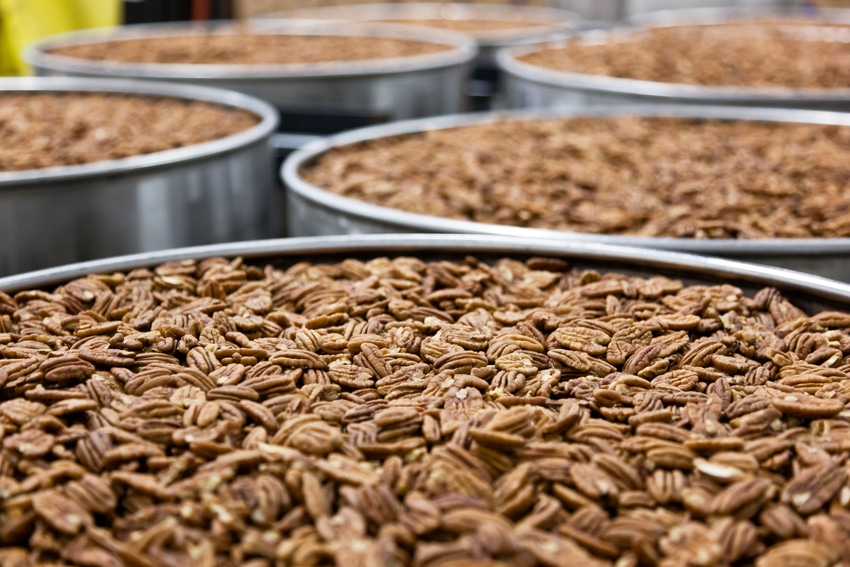 Pecans in bins Pecans in bins