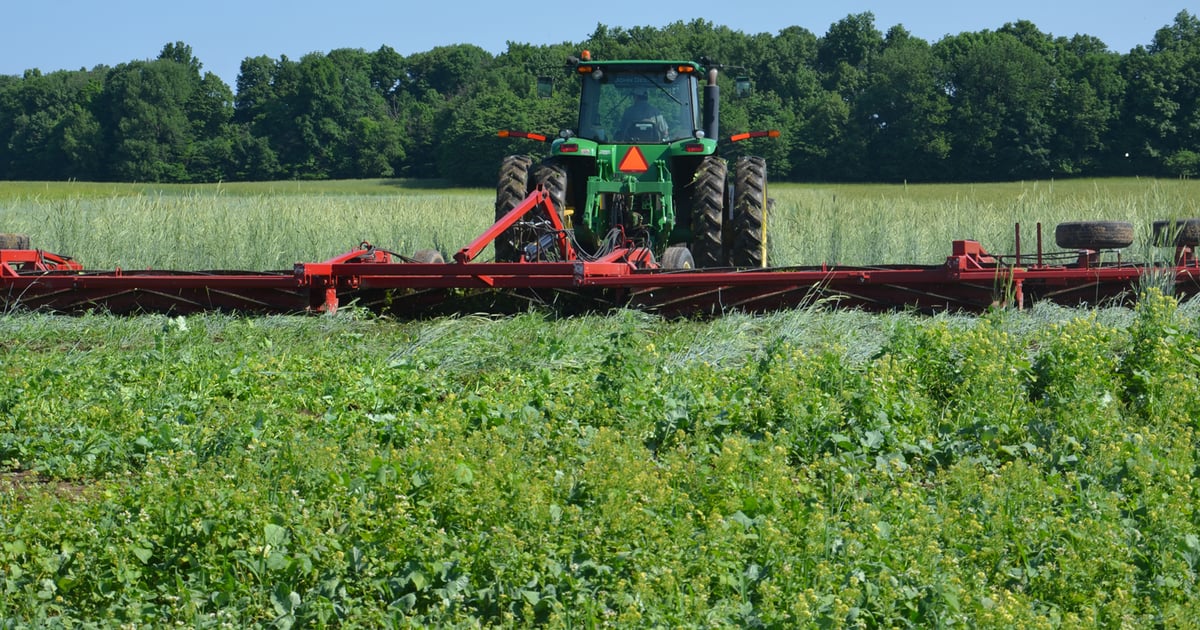 5 steps to no-till, cover crop success