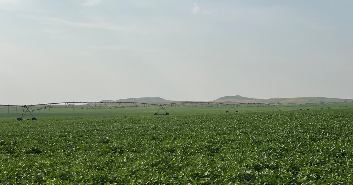 What do land cycles mean for today’s landowners?