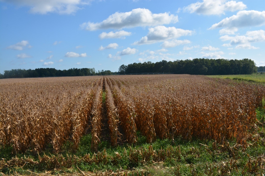 High yields a must High yields a must