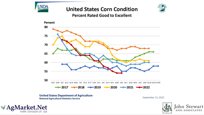 Corn conditions