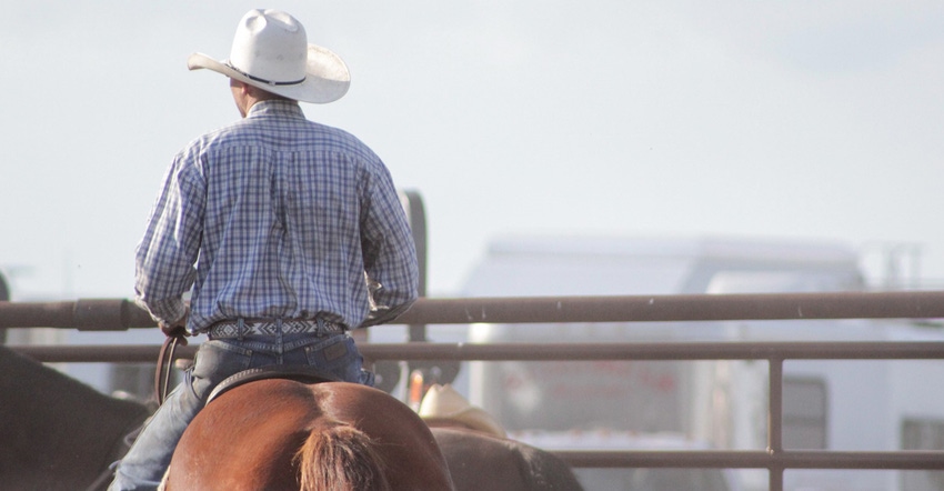Cowboy on horse Cowboy on horse
