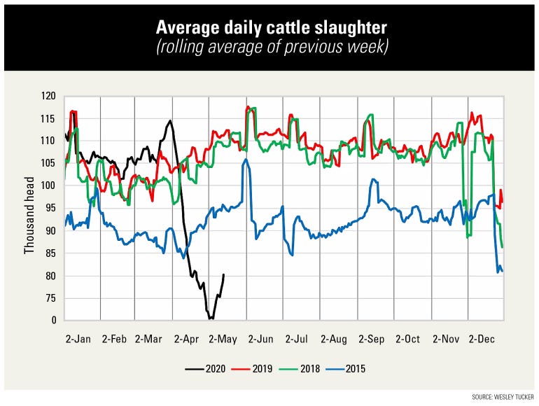 A graph illustrating the average daily cattle slaughter per thousand head