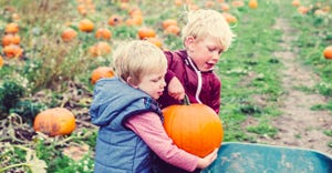 Children picking pumpkins