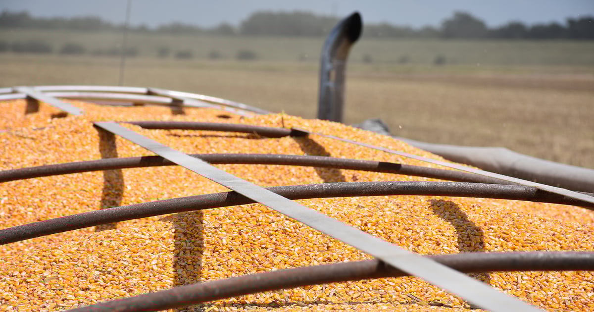 What to know about futures markets’ role in agriculture