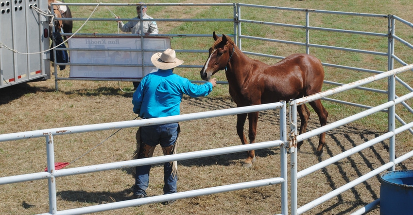 Ron Knodel’s wild horse gentling sessions and the BLM booth are near Syngenta Square, Ron Knodel’s wild horse gentling sessions and the BLM booth are near Syngenta Square,