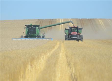 nebraska_winter_wheat_yields_above_average_2_636046340438067626.jpg