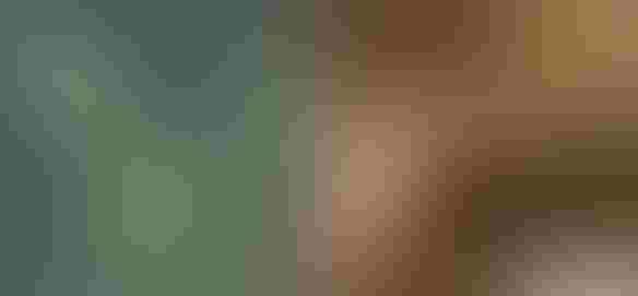 0520M1-1654C-584x271.jpg 0520M1-1654C-584x271.jpg