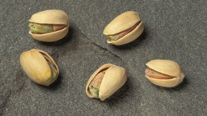 pistachios