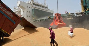 pile of wheat being loaded onto ship in India