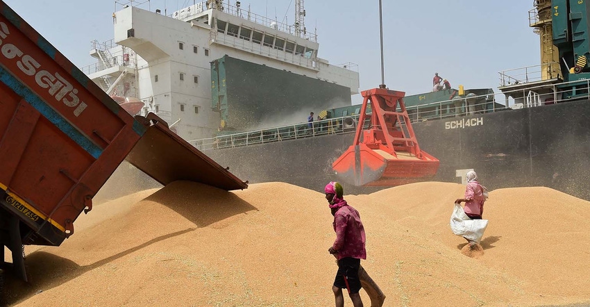 pile of wheat being loaded onto ship in India