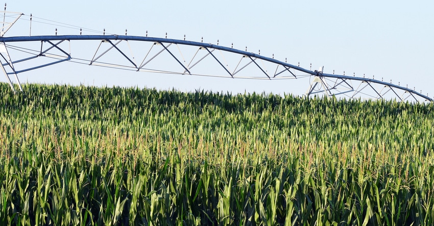 Irrigation system in corn field