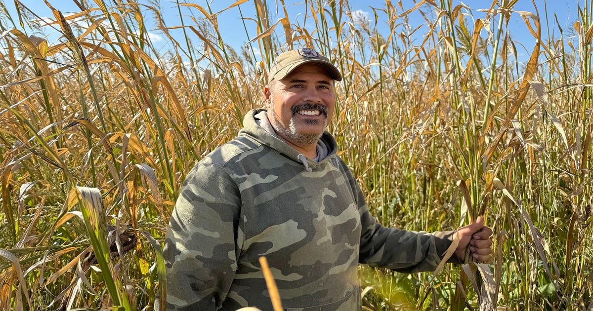 Farmer’s underground discovery leads to soil health win