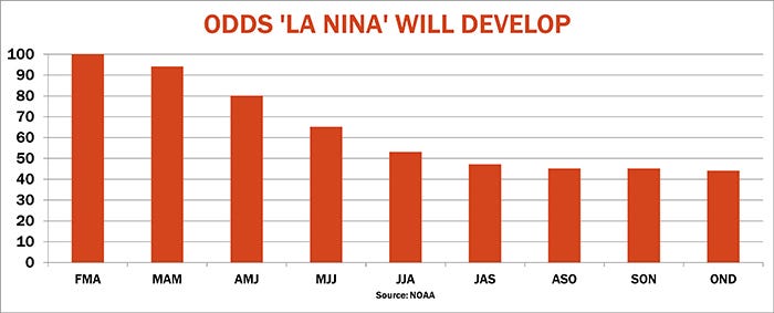 Odds La Nina will develop