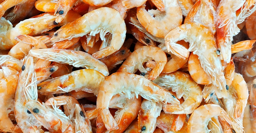 shrimps shrimps