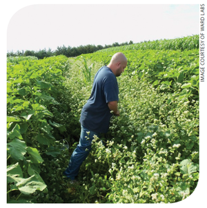 lance-gunderson-soil-sample.png lance-gunderson-soil-sample.png
