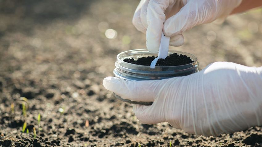 Close up of gloved hands taking a sample of soil