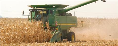 usda_issues_safety_net_payments_wisconsin_farmers_1_636141991485764000.jpg